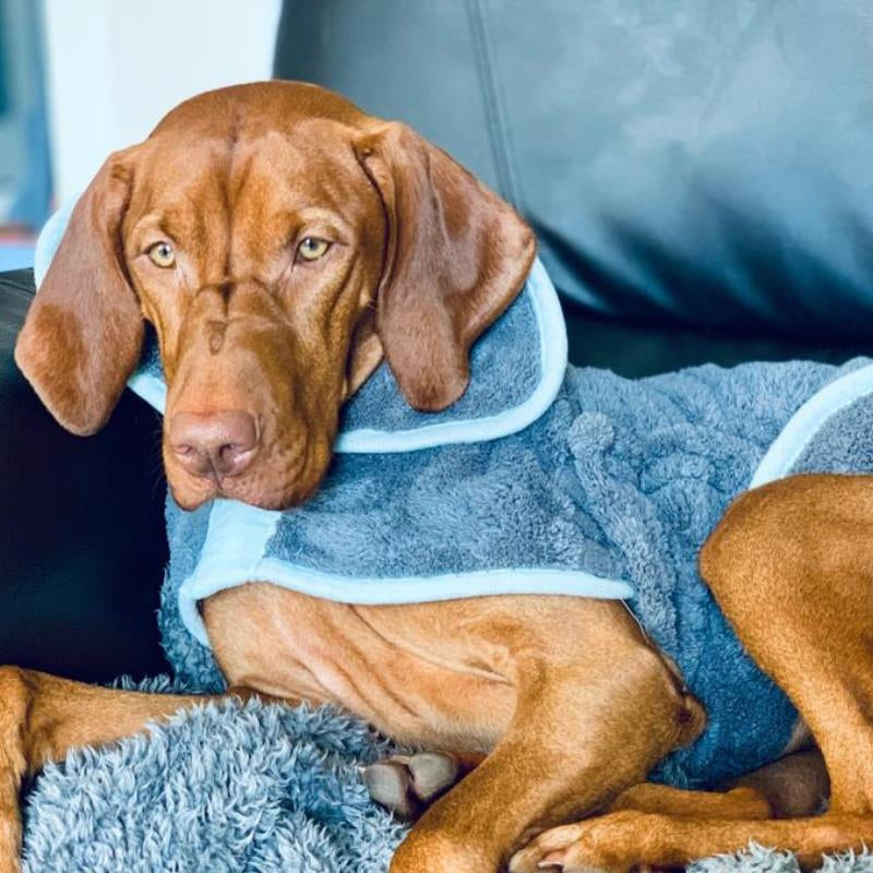 Henry Wag Microfibre Drying Coat - Fast Drying, Absorbent Towel for Pets