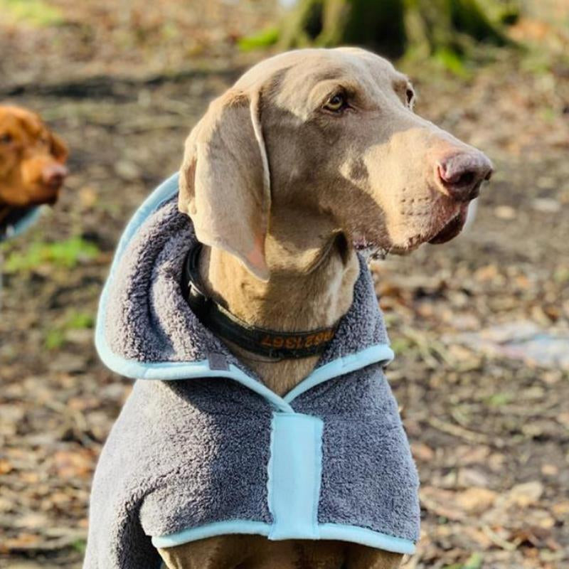 Henry Wag Microfibre Drying Coat - Fast Drying, Absorbent Towel for Pets